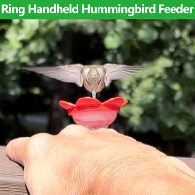 Hummingbird Ring Feeder- Hand Feed Hummingbirds ในสวนหลังบ้านของคุณใกล้ชิดและเป็นส่วนตัวกับธรรมชาติ