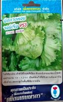 เมล็ดพันธุ์ สลัดแก้ว?หมดอายุ 12/2566☘ผักกาดหอม จอร์เจีย953✔ บรรจุประมาณ 900 เมล็ด สลัดห่อ ผักสลัด คล้ายกะหล่ำ เข้าหัวได้ไวและดีเยี่ยม