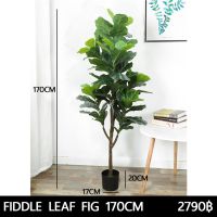 ?สินค้าขายดี? [170CM]ต้นไม้ปลอม ต้นไทรใบสัก FIDDLE LEAF FIG ต้นไม้ประดิษฐ์