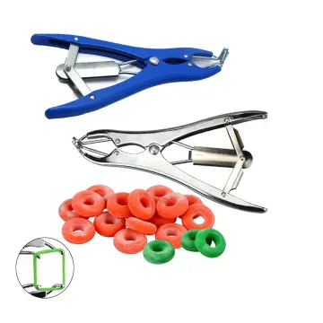 Stainless steel Sheep/Goat Tail Removal Piglets Castration Tools and Rubber  Rings Device Veterinary Livestock Equipment
