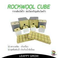 [พร้อมส่ง]!!!ลดROCKWOOL ร็อควูล วัสดุใยหินปลูกต้นไม้ ระบบไร้ดิน เพาะเมล็ด - เก็บเกี่ยว ต้นเจริญเติบโตได้ดี[สินค้าใหม่]