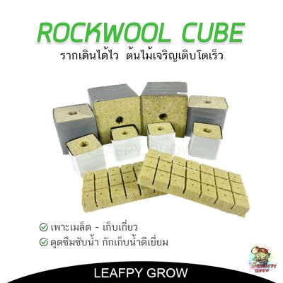 [พร้อมส่ง]!!!ลดROCKWOOL ร็อควูล วัสดุใยหินปลูกต้นไม้ ระบบไร้ดิน เพาะเมล็ด - เก็บเกี่ยว ต้นเจริญเติบโตได้ดี[สินค้าใหม่]