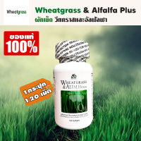 (1 กระปุก 120 เม็ด) Wheatgrass &amp; Alfalfa Plus ผลิตภัณฑ์อาหารเสริมแอมสตรอง  วีทกราส อัลฟัลฟ่า พลัส ผักเม็ดแท้ สูตรดั้งเดิม ผักเม็ด superfood