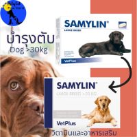 Samylin  Hepatic Protector for Large Dogs in Tablets, วิตามิน อาหารเสริม บำรุงตับฟื้นฟูเซลตับ​สำหรับสุนัขขนาด​ใหญ่ 31-50kg