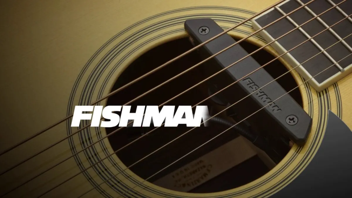 Fishman フィッシュマン Neo-D Humbucking Soundhole Pickup アコースティックギター用ピックアップ  Magnetic マグネット