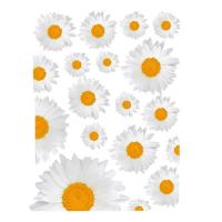 Electrostatic Window Decals Flowers Daisy Window Film Glass Decorative Stickers Floral Print Electrostatic Daisy Window Sticker Semitransparent for Glass Window Decor compatible