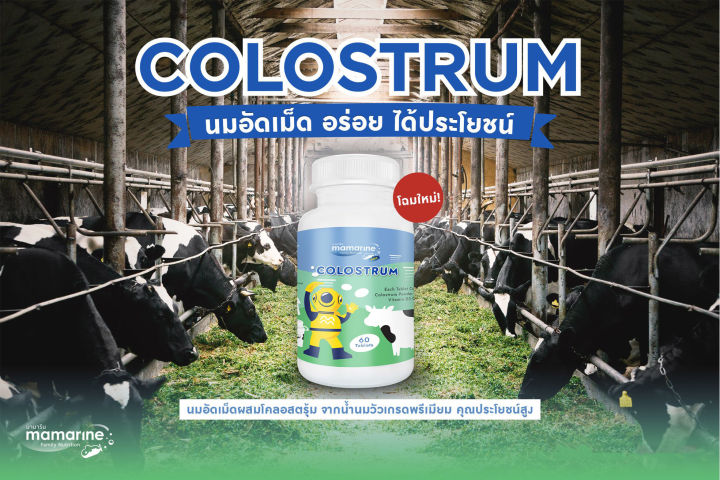 mamarine-milky-tablet-plus-colostrum-มามารีน-โคลอสตรุ้ม-60-เม็ด