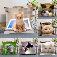 【CW】✸►☃  45x45cm Pattern Real Pillowcase pillow covers decorative