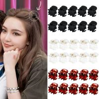 10pcs Plastic Mini Hair Clip Claw Cute Hair Clips Plastic Black Transparent Hairpin Clamp for Ladies Headwear Hair Styling Tools