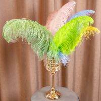 10Pcs Softs Feathers for Crafts Colored Feather Wedding Handicraft Accessories Table Centerpieces Plumas