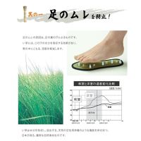 Japan "Samurai Insole" Rush (Tatami) แผ่นรองพื้นรองเท้า (สไตล์ญี่ปุ่น)