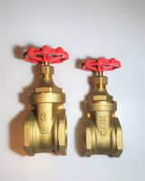 KITZ ประตูน้ำ ทองเหลือง 3 นิ้ว  Brass gate valve Type FH  จำนวน 1 ตัว