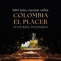 ?[หอมหวน รันจวญใจ] Colombia El Placer Caturra Culturing Technique | kōhī kobu single origin coffee