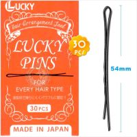 Lucky Trendy กิ๊บดำไม่มีตุ่ม (384NP)