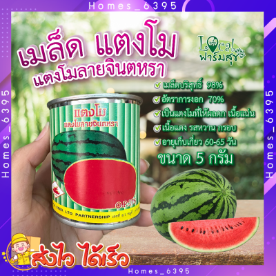 เมล็ดแตงโม แตงโมลายจินตหรา 5 กรัม 🍉 ตรารถถัง แตงโม เมล็ดพันธุ์  มล็ดพันธุ์แตงโม อัตราการงอกสูง homes