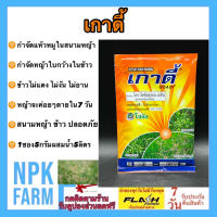 สารกำจัดหญ้าแห้วหมู เกาดี้ 5 กรัม (แบบซอง) แบ่งขาย  ไพราโซซัลฟูรอน - เอทิล โซตัส กำจัดวัชพืช ใบกว้างในนา กก แห้วหมูในสนามหญ้า ตายทุกหัว