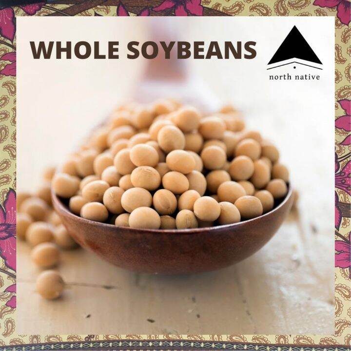 Sproutable Whole Soybeans / Soya / Soy Premium NONGMO 1kg Lazada PH