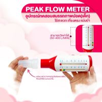 Peak Flow Meter อุปกรณ์เป่าปอด(สำหรับเด็ก5ขวบปีขึ้นไป)Medical Grade100% เที่ยงตรง แม่นยำ