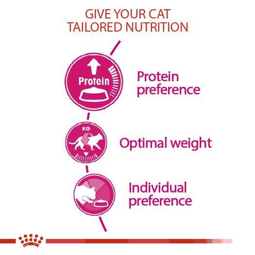 ส่งฟรี-royal-canin-exigent-protein-400g-อาหารเม็ดแมวโต-ช่างเลือกอาหาร-โปรตีนสูง-อายุ-1-ปีขึ้นไป