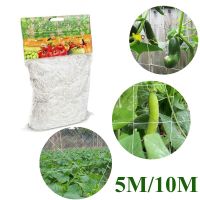 1.67x5m/1.67x10m Plant Garden Netting Mesh Plant Flowers Vine Cucumber Grow Holder Support Climbing Garden Net Accessories