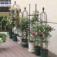 Garden Obelisk Metal Trellis 3 Sizes PE Coating Steel Flower Support For Climbing Plants 10 Inch Diameter Metal Frame Cage For