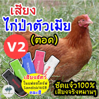 เสียงไก่ป่าตัวเมีย V2 (ไก่ตอด) แฟลชไดร์ฟเสียงไก่ป่าตัวเมีย V2 (ไก่ตอด) มีเก็บเงินปลายทาง ชัดแจ๋ว 100% ไม่มีโฆษณาแทรก (MP3 เสียงต่อสัตว์)