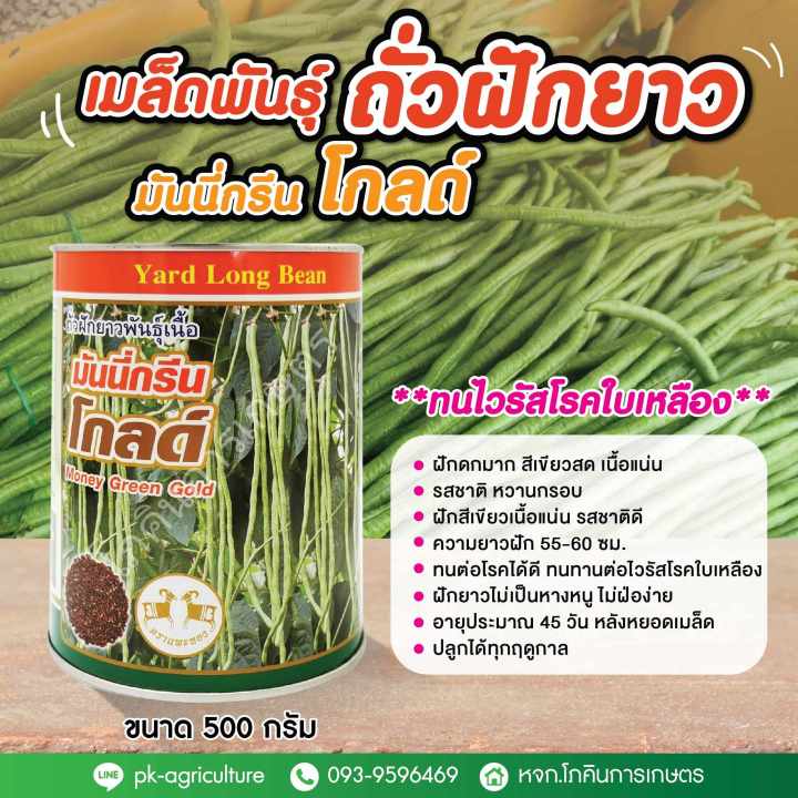 เมล็ดพันธุ์ถั่วฝักยาวมันนี่กรีนโกลด์-ขนาด-500-กรัม