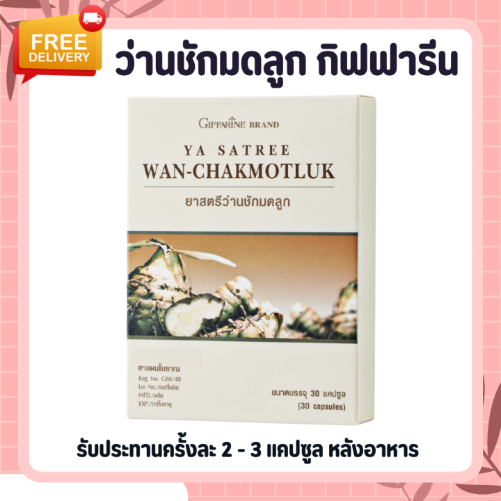 ว่านชักมดลูก-ว่านชักมดลูกกิฟฟารีน-wan-chakmotluk-giffarine