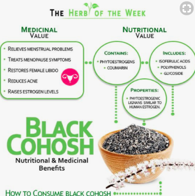 แบล็คโคฮอช-black-cohosh-full-spectrum-herb-50-mg-90-vegetarian-capsules-natures-answer