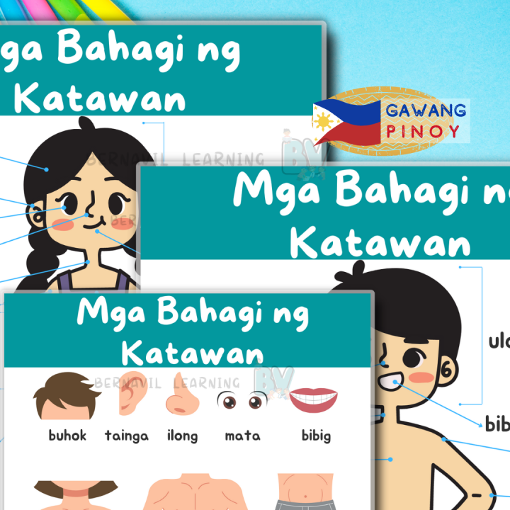 Mga Bahagi Ng Katawan Learning Chart Tagalog Laminated Shopee Philippines Porn Sex Picture 7988