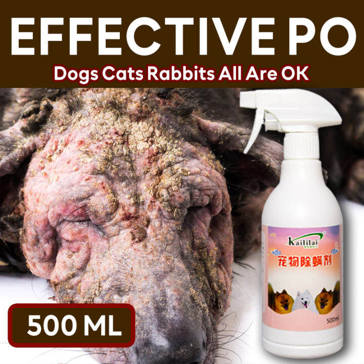 Great Value 500 ml anti mange treatment for dogs cats rabbits Effective