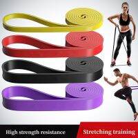 Fitness Elastic Belt Pull-ups Resistance Band Strength Training Elastic Rope Men Women Yoga Stretching Auxiliary Tension Band Exercise Bands