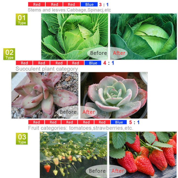 พืชเติบโตไฟ-1-เมตร-5-เมตร-12-วัตต์กันน้ำเต็มสเปกตรัม-led-แถบดอกไม้-phyto-โคมไฟสีแดงสีฟ้า-4-1-สำหรับเรือนกระจกไฮโดรโพนิ