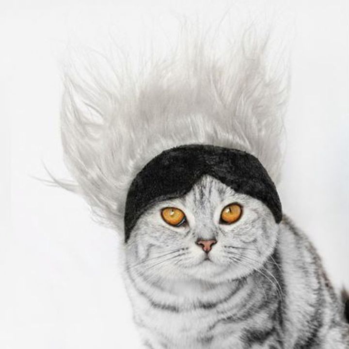 ผ้าคาดหัวชาวร๊อคของสัตว์เลี้ยง-หมวกสัตว์เลี้ยง-หมวกแมว-หมวกหมา-rock-n-roll-pet-headband-โกโจ