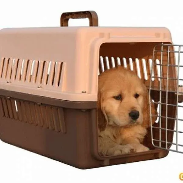 tangle pets shark tank husband Pet Carrier Travel Crates Dog Cat 48.4cm x 31.7cm x 30.3cm