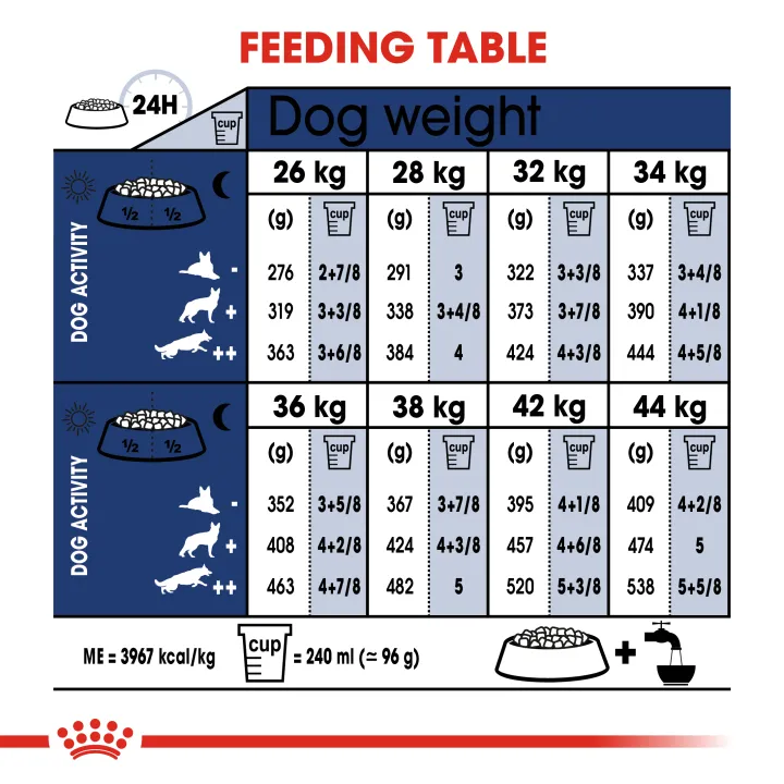 หมดอายุ9-24-royal-canin-maxi-adult-4-kg-อาหารสุนัขโตพันธุ์ใหญ่