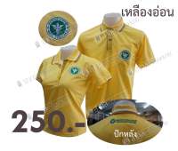 เสื้อโปโล สาธารณสุข สีเหลืองอ่อน สีเหลือง