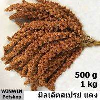 ช่อมิลเล็ตสเปรย์ สีแดง 1kg