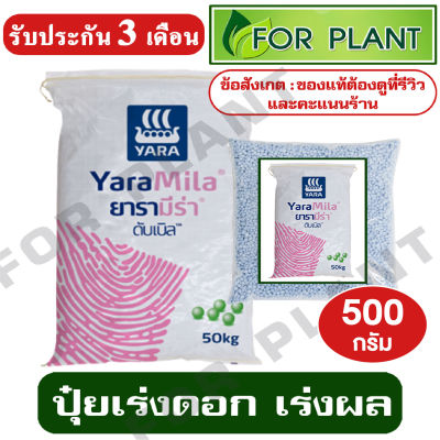 ปุ๋ย สูตร 8-24-24 ตรายารา มีร่า เเบ่งบรรจุ 500 กรัม ปุ๋ยเร่ง ต้น ใบ ดอก ผล ใส่ผัก ผลไม้ ไม้ดอกไม้ประดับ