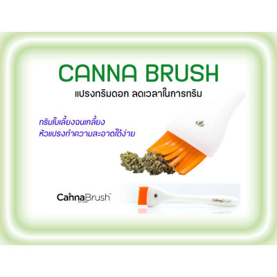 [ส่งฟรี] Canna brush แปรงทริมดอก แปรงทริม ของแท้ USA Cannabrush
