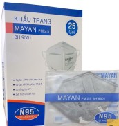 Khẩu Trang kháng khuẩn Mayan N95 than hoạt tính gói 2 cái Thegioiykhoa