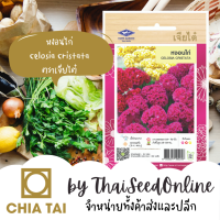 CTFW หงอนไก่ ตราเจียไต๋ เมล็ดดอกไม้ เมล็ดพันธุ์ดอกไม้ Celosia Cristata