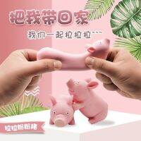 หมูยืดได้ ของเล่นหมูยืดได้ ของเล่นคลายเครียด