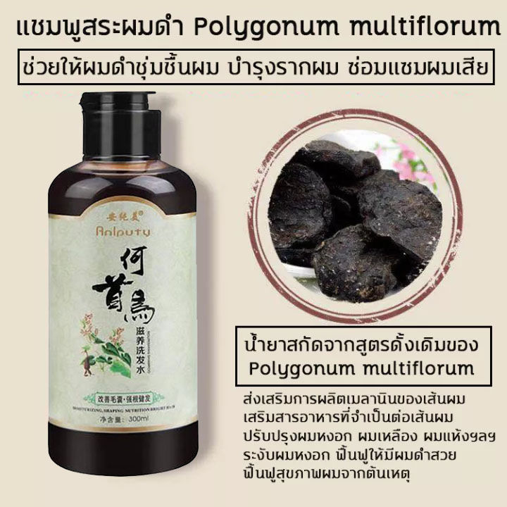 พร้อมส่ง-anyichun-แชมพูปิดผมหงอก-แชมพูแก้ผมหงอก-แชมพูเหอโส่วอู-300ml-แชมภูปิดผมขาว-my-organic-แก้ผมหงอกถาวร-แชมพูปิดหงอก-ผมหงอกกลับมาดำ-แก้ผมหงอก-แชมพูสมุนไพร-น้ำยาแก้ผมหงอก-แชมพูผมดกดำ-เซรั่มลดผมหงอก