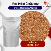 Red Millet มิลเล็ตแดง อาหารนก กระต่าย หนู กระต่าย กระรอก ชูก้า และสัตว์ฟันแทะ (แบ่งขาย 500G / 1KG)