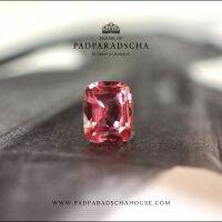 พัดพารัดชา ไพลินพัดพารัดชา 0.62 กะรัต Padparadscha Sapphire