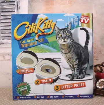 City kitty outlet training