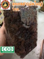 ลูกเกดดำ เม็ดใหญ่ 1KG Raisin Grape