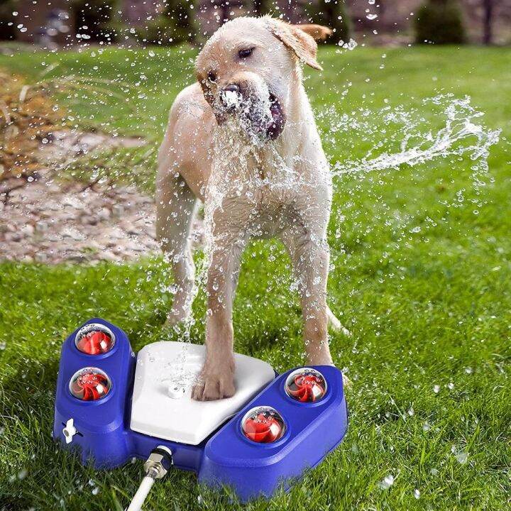 Dog Water Fountain Paw Dog Sprinkler Paw Activated, Dogs Splash - Main Image