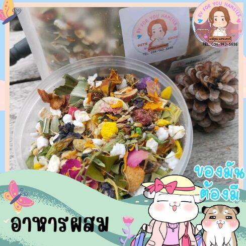 by-for-you-hamster-food-อาหารผสมแฮมเตอร์-สูตรพรีเมี่ยม-สำหรับ-หนูเเฮมเตอร์-ทุกสายพันธุ์